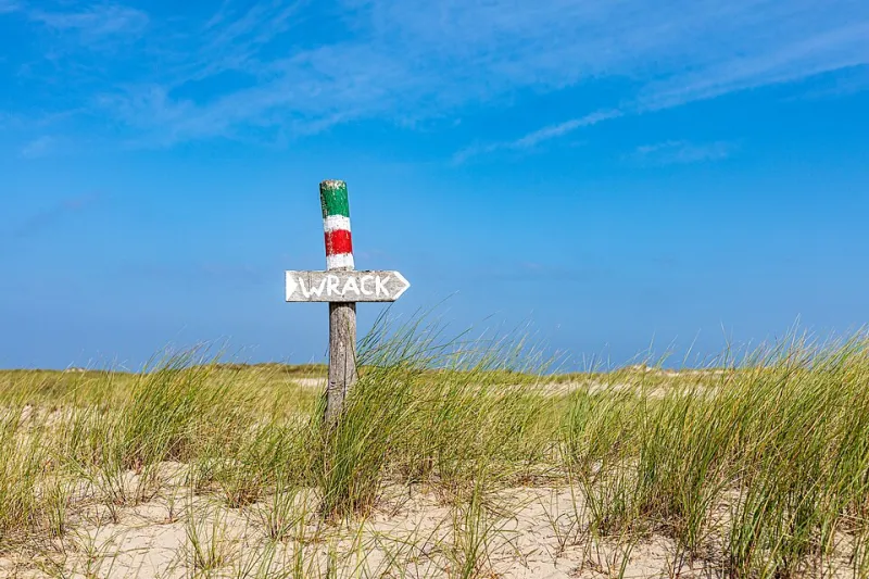 Less Frame, More Truth: The Quiet Power of Leaving Things Out